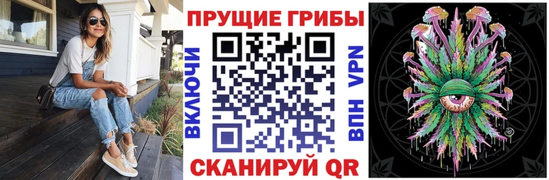 Галлюциногенные грибы Psilocybine cubensis omg зеркало маркетплейс какой сайт Курганинск